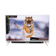 ScanFrost 32 Inche LED Television SFLED32AS SFLED32SB Televisions image