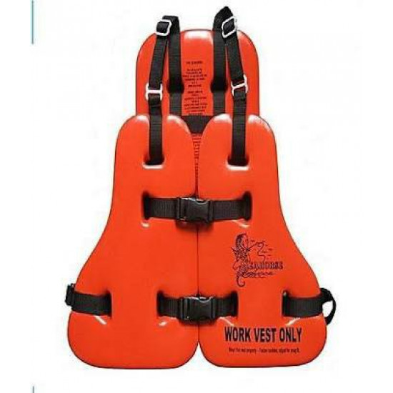 Work Vest and Sea Horse Life Jacket Personal Protective Equipment PPE image
