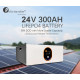Felicity Lithium Battery LiFePO4 Pack 300Ah 24V 7.5kWh - LPBR24300 - Ighomall