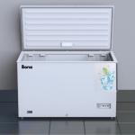 Bona AC/DC Solar Freezer - 318L