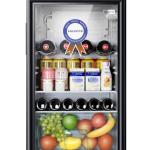 POLYSTAR WINE CHILLER 90L – PV-255BCLL
