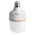 AKT LED BULB 20W