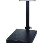 Camry 100Kg Digital Scale Weighing Scale