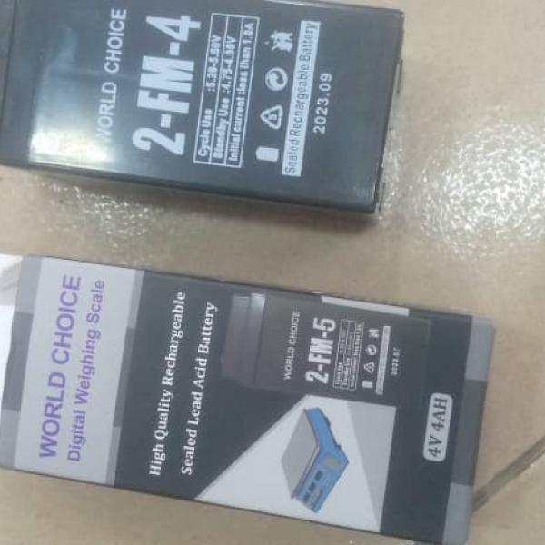 Digital Weighing Scale Battery - 4V