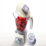QASA 2 Liters Blender & Grinder 600W - QBL-8005