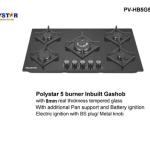 POLYSTAR 8MM 5 GAS BURNER TEMPERED GAS HUB – PV-HB5G5848